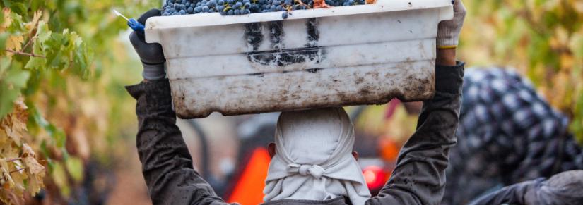 migrant worker. Adobe Stock