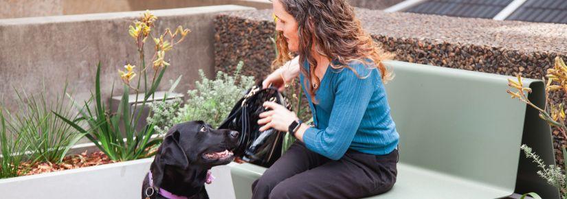 A black labrador is sitting next to a woman, she is wearing a blue cardigan and black pants