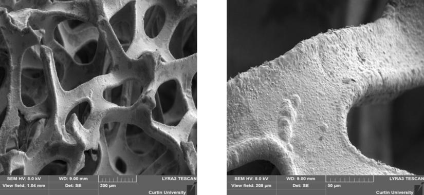 Scanning electron micrograph of the catalyst, NiOOH-Ni, developed in this study. (Hanwen Liu, et al. Advanced Energy Materials. August 7, 2024)