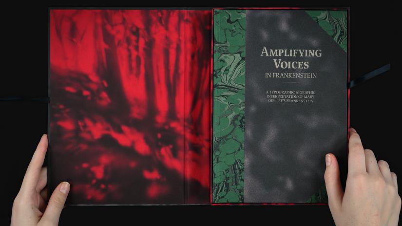 Cover image of Rachel Zhu's Amplifying Voices in Frankenstein