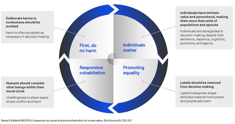 Diagram outlines the four guiding principles of compassionate conservation