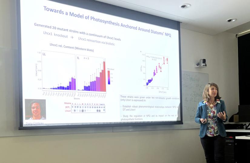 Seminar Series - Angela Falciatore