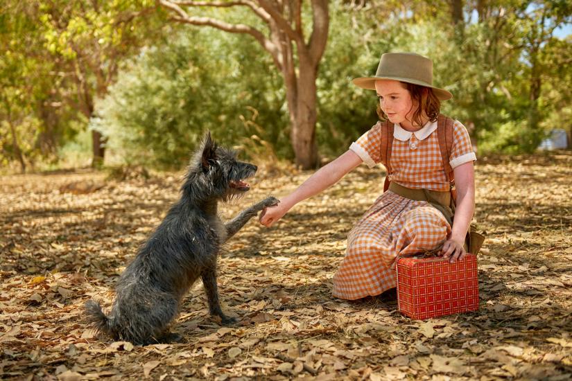 Film production shot showing a young girl reaching out to a small dog which has its paw on her hand.