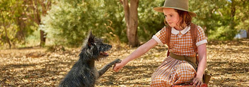 Film production shot showing a young girl reaching out to a small dog which has its paw on her hand.