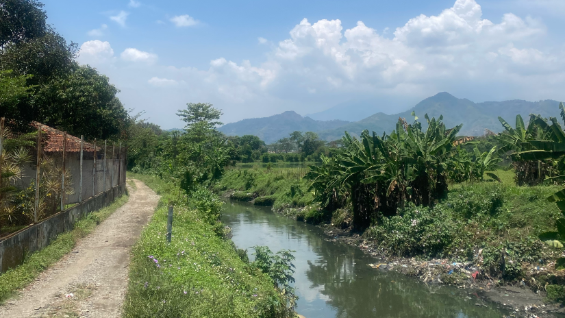 Pond with mountains in the background in Indonesia.