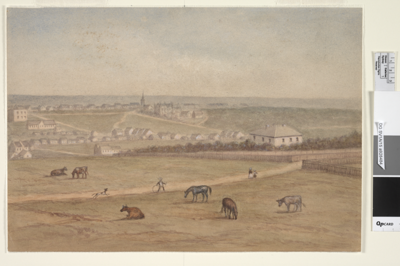 Old photograph of open land with horses grazing.