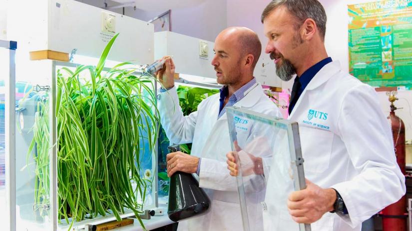Photo of UTS researchers in a science lab examining a plant (photo courtesy of Junglefy)