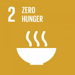 UN Sustainable Development Goal - Zero Hunger Icon