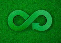 Green circular economy representation