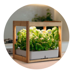 Urban Plant Growers Indoor Smart Garden Combo
