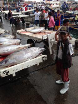 Fish market in the Philippines