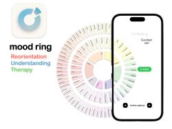 UTS Apple Foundation project summary for Mood Ring