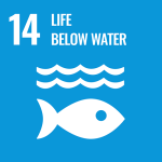 UN SDG icon: Goal 14. Life below water